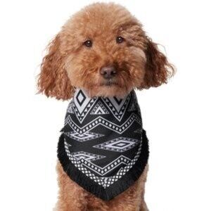 Frisco Southwest Fringe Dog & Cat Bandana